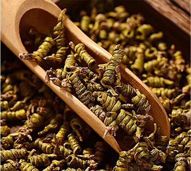 Dendrobium Officinale (Special Grade) / 铁皮石斛 (特级)**Free Local Shipping** - Image 2