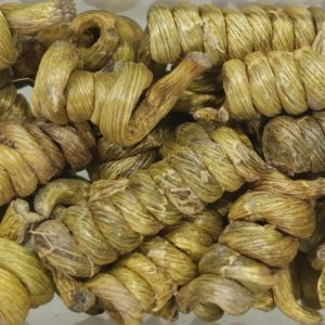 Dendrobium Officinale (Special Grade) Unpackaged / 铁皮石斛 （特级）散装 10g **Free Local Shipping**